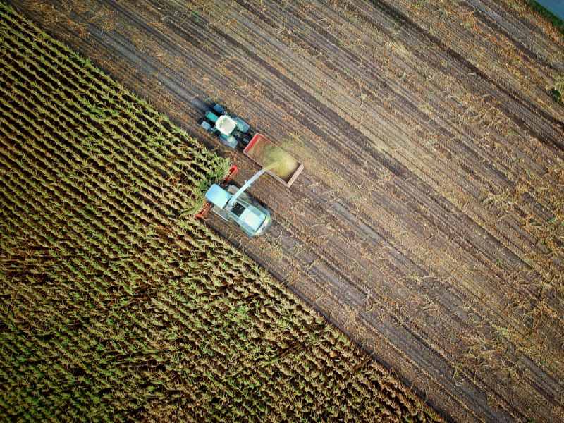 Agriculture Trivia