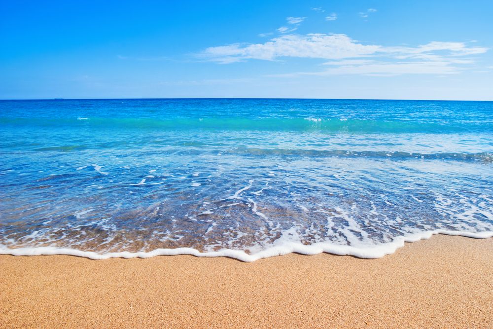 Beach Trivia