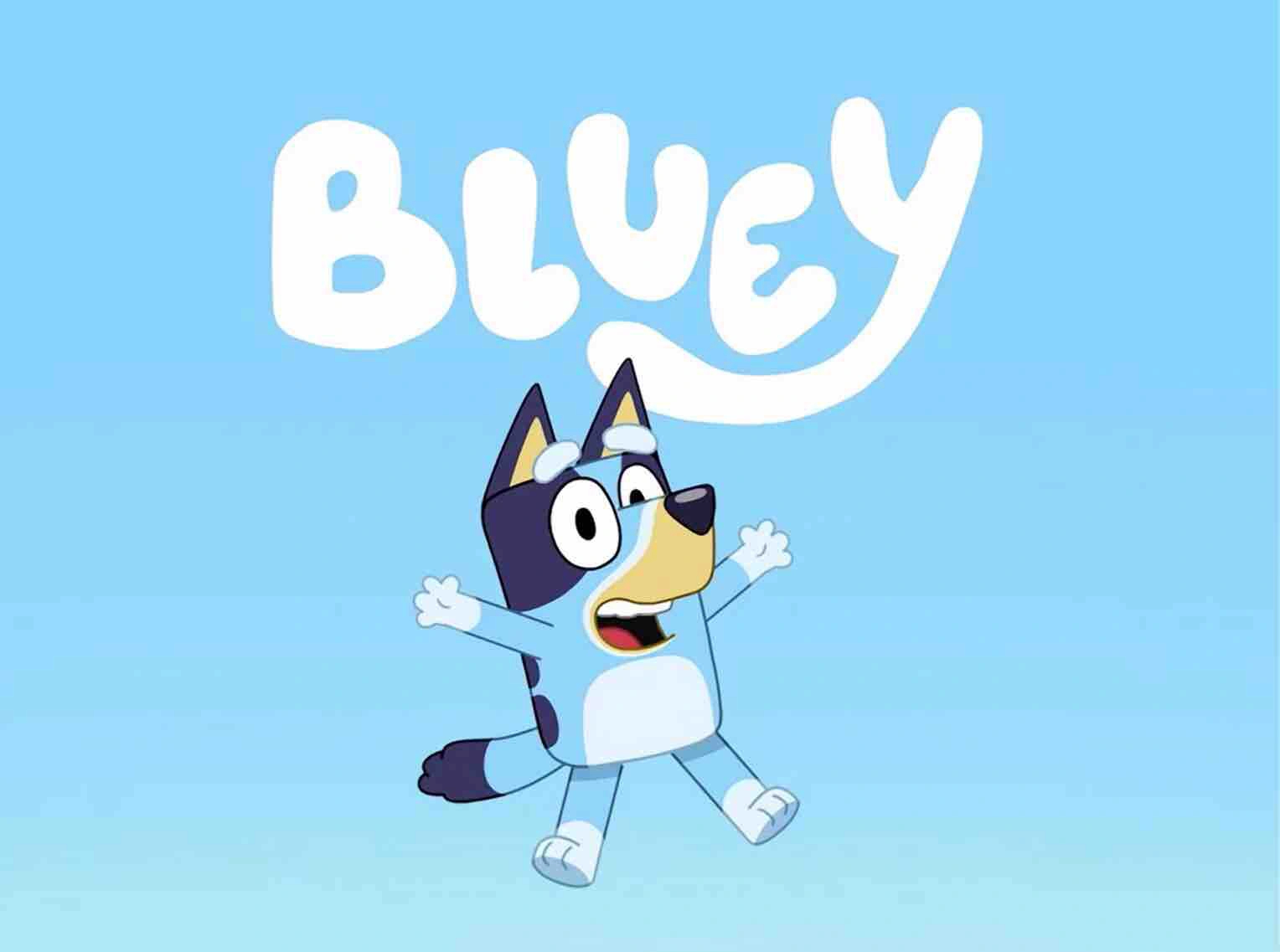 Bluey Trivia