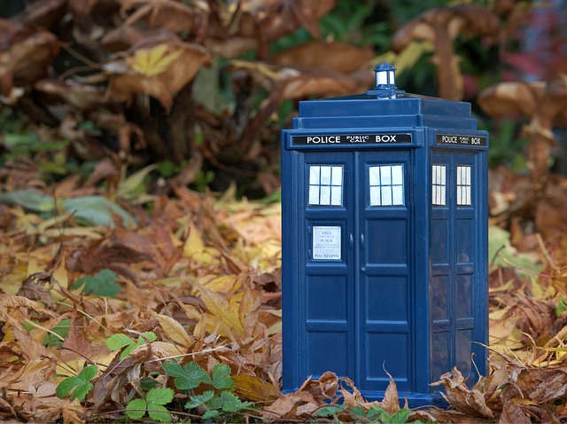 Doctor Who Trivia