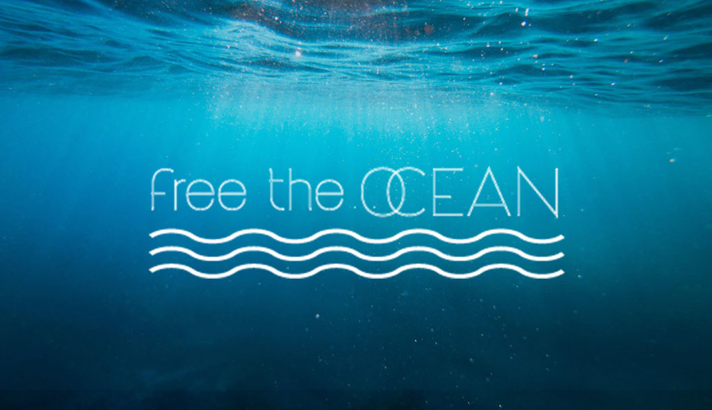 Free the Ocean Trivia
