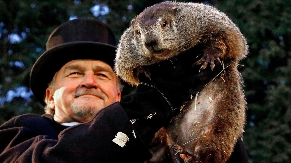 Groundhog Day Trivia