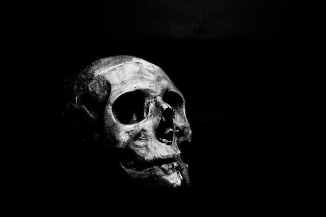 Horror Movie Trivia