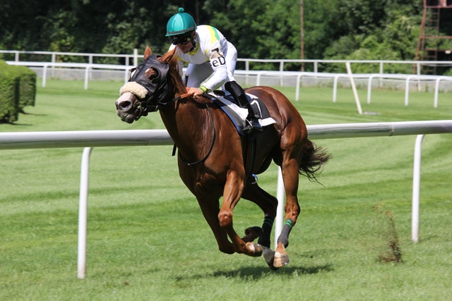 Horse Racing Trivia