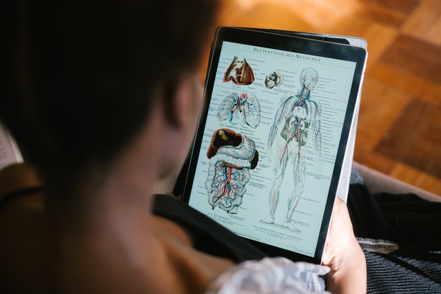 Human Body Trivia