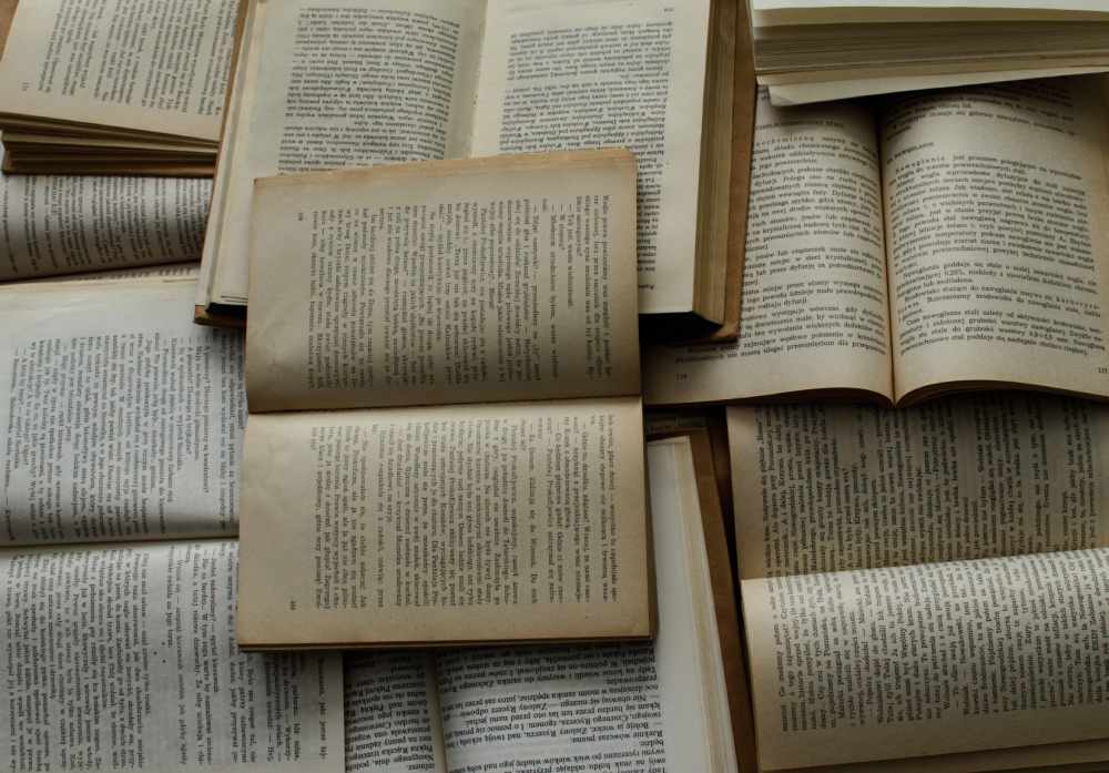 Novels Trivia
