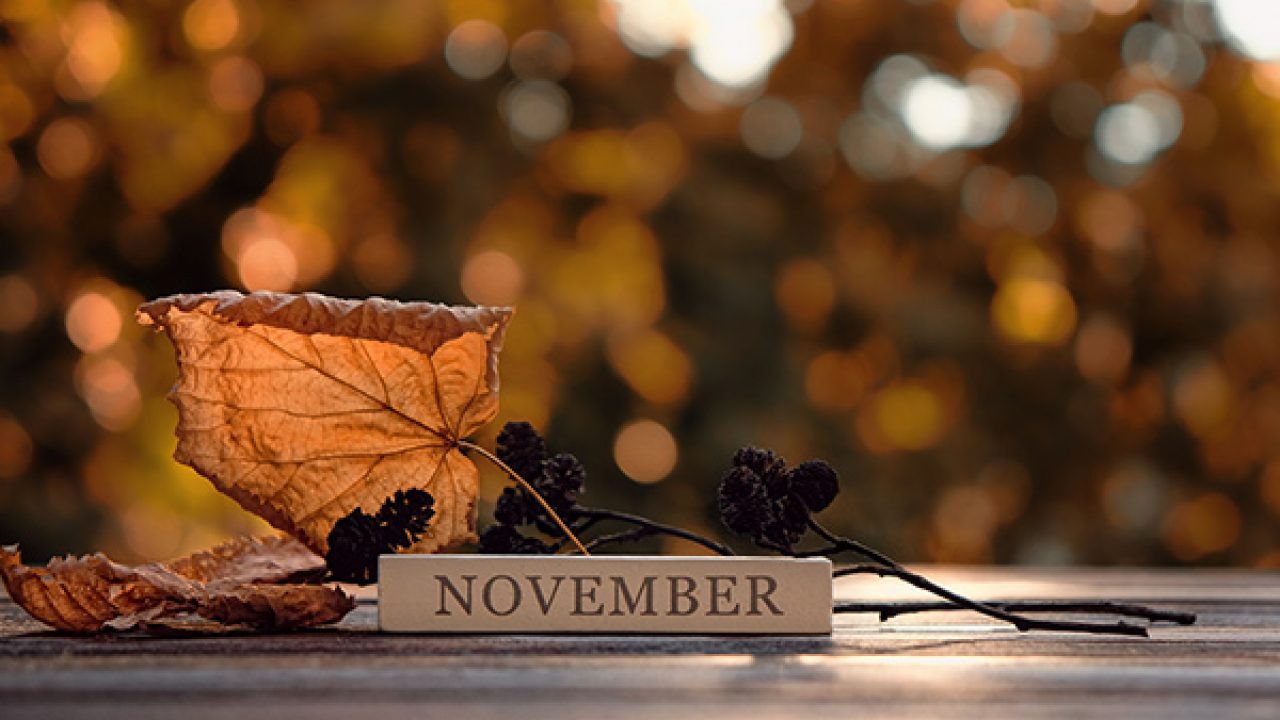 November Trivia