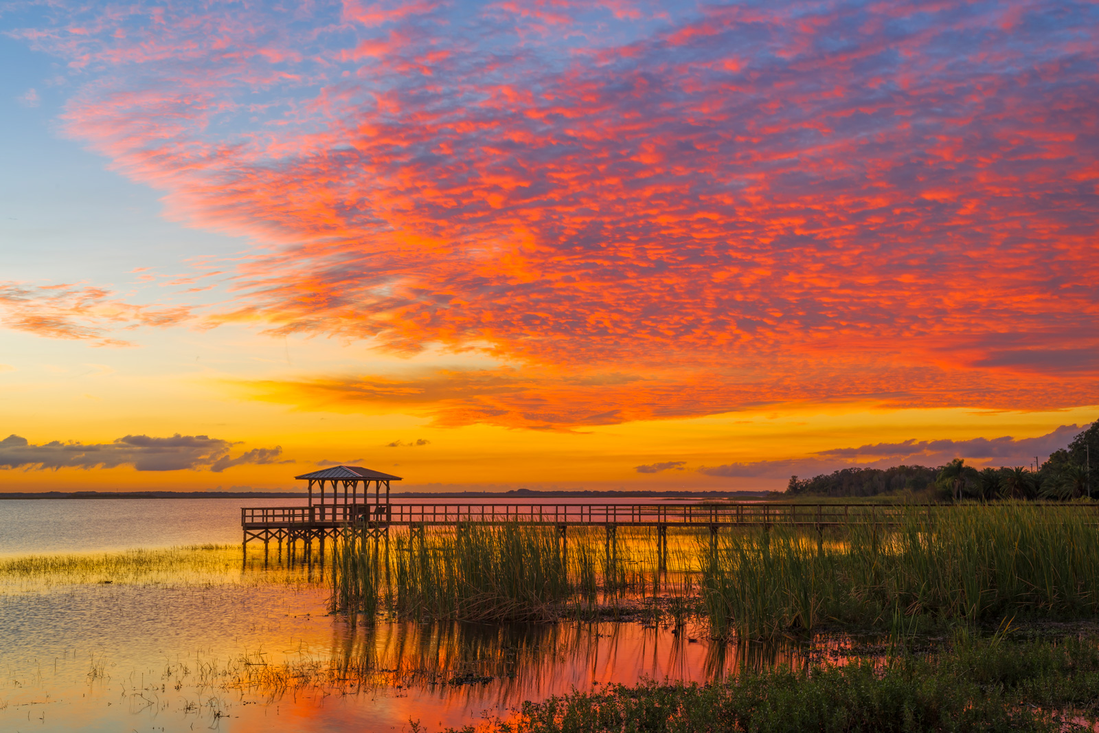 Sunset Trivia