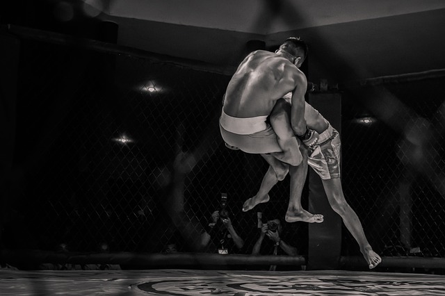 UFC & Martial Arts Trivia
