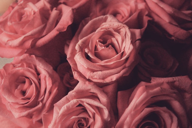 Valentine's Day Trivia