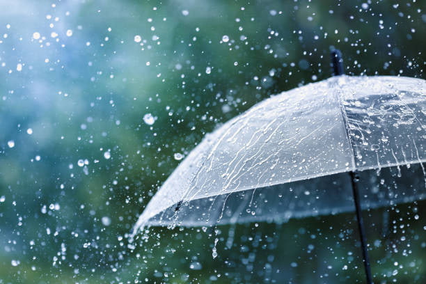 Weather Trivia
