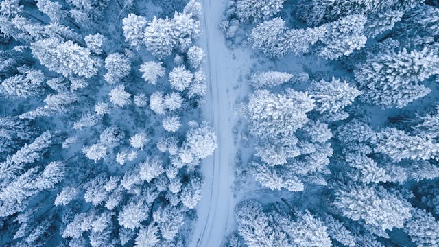 Winter Trivia